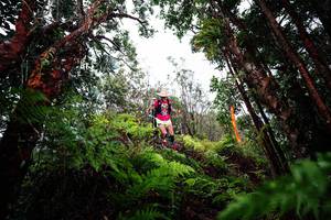 BIB: 
                            <button type="button" onclick="openModal(26203921)" class="btn btn-primary btn-sm float-right btn-popup" data-toggle="modal" data-target=".modal-high-quality">
                        <i class="fas fa-shopping-cart"></i> Add to Cart
                    </button>
                                            <button type="button" onclick="isThisMe(26203921, true)" class="btn btn-success btn-sm float-right btn-popup btn-isme hidden" data-toggle="tooltip" data-placement="bottom" title="นี่คือรูปของคุณใช่ไหม คลิกที่นี่เพื่อเอาเข้าอัลบั้ม">
                        <i class="fas fa-plus"></i> Add to album
                    </button>
                    <button type="button" onclick="isThisMe(26203921, false)" class="btn btn-warning btn-sm float-right btn-popup btn-isnotme hidden">
                        <i class="fas fa-ban"></i> Remove from album
                    </button>